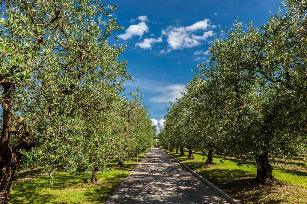 Quercia Belvedere Relais Bardolino Exteriér fotografie